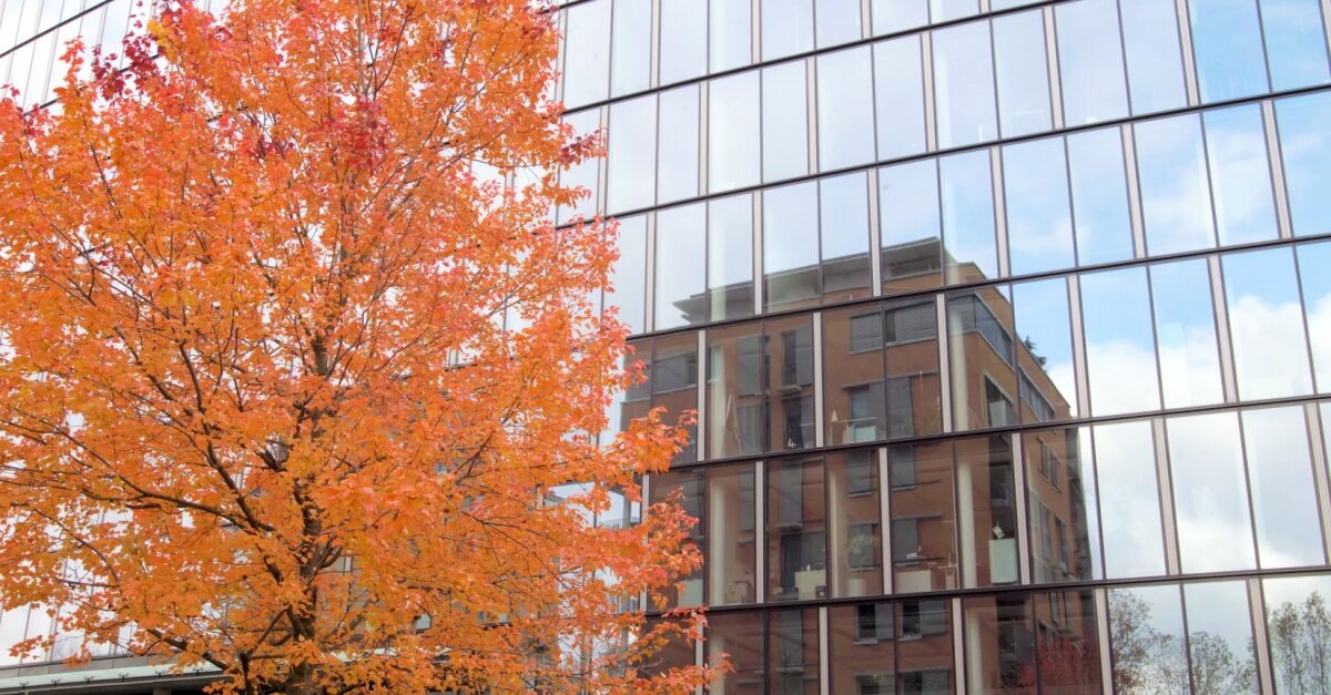 Seasonal Maintenance Planning: How to Budget for Year-Round Building Care